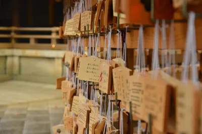 DSC_3320 (Large).JPG